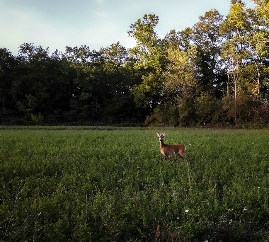 October 2022 horizontal 12