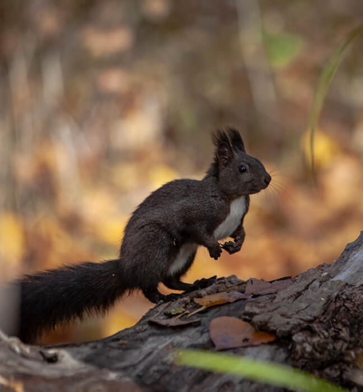 October 2022 horizontal 7