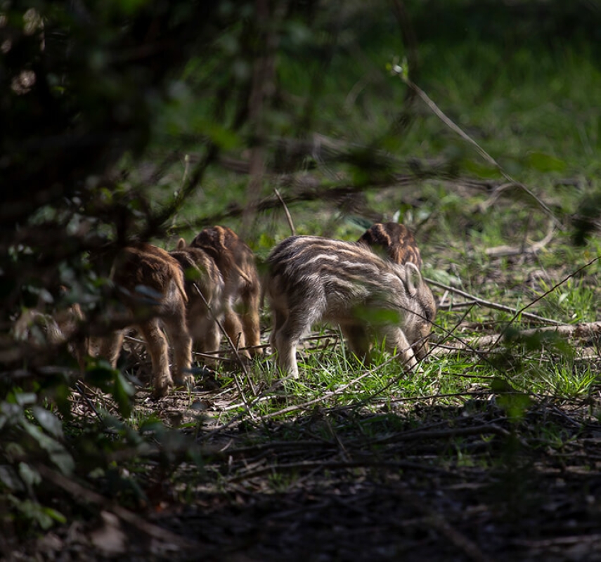 October 2022 horizontal 9