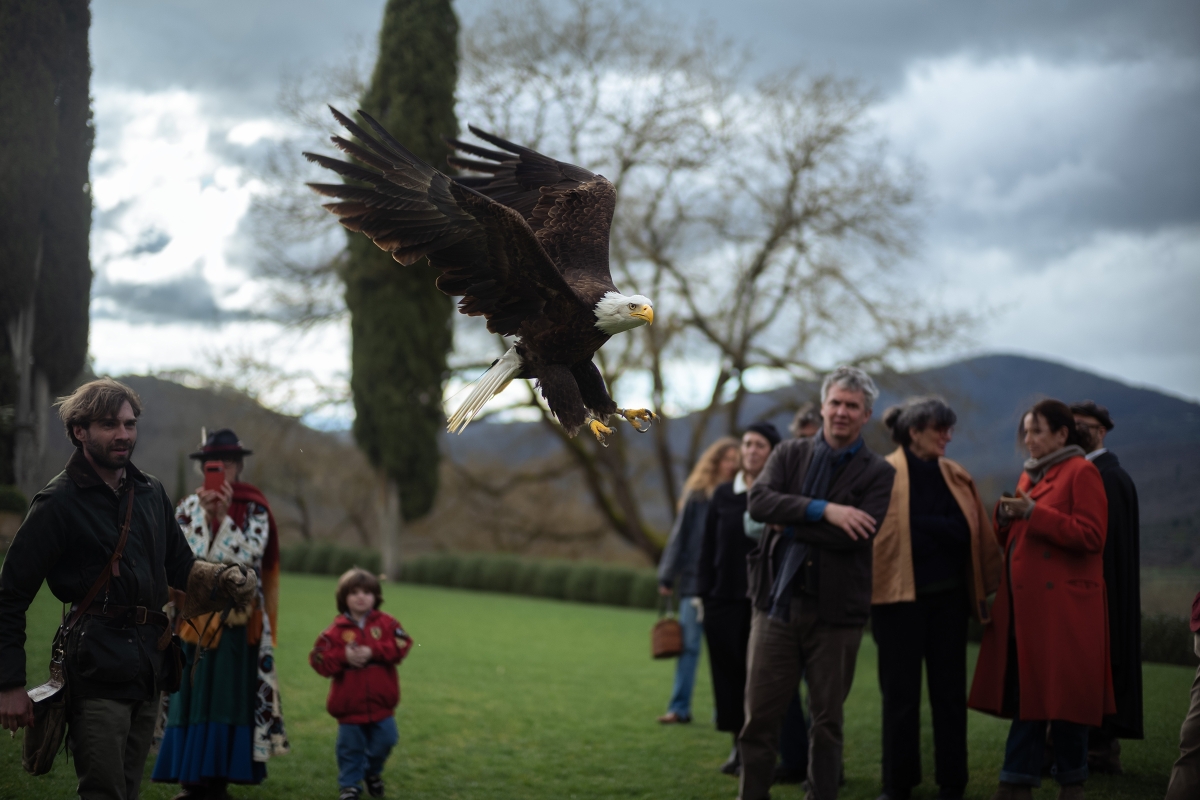 Spring affair gallery 07