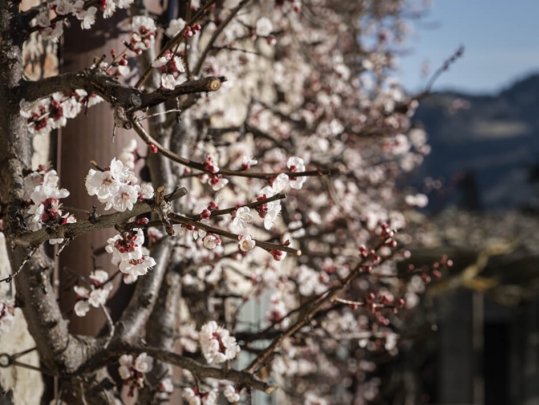 Twl april 2023 horizontal 2