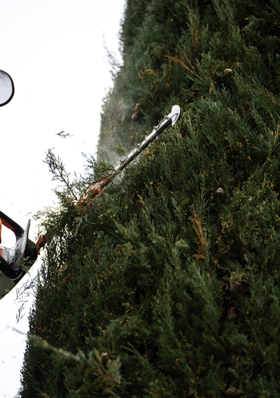 Twl april 2024 refresh horizontal 4