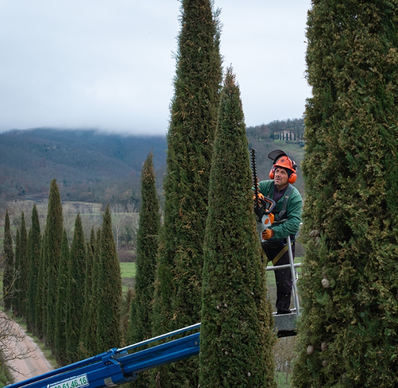 Twl april 2024 refresh horizontal 5