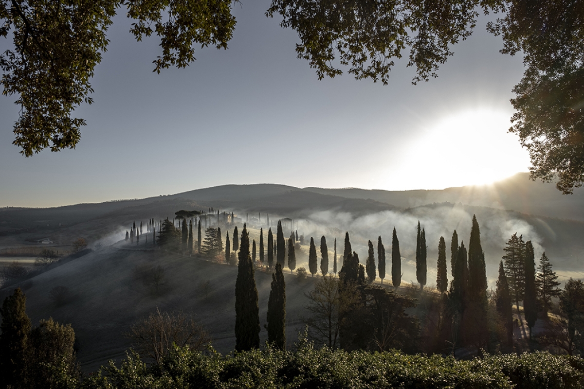 Twl april 2024 refresh horizontal 7