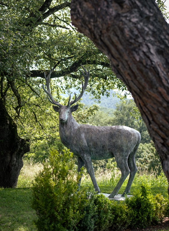 Twl july 2023 horizontal 13