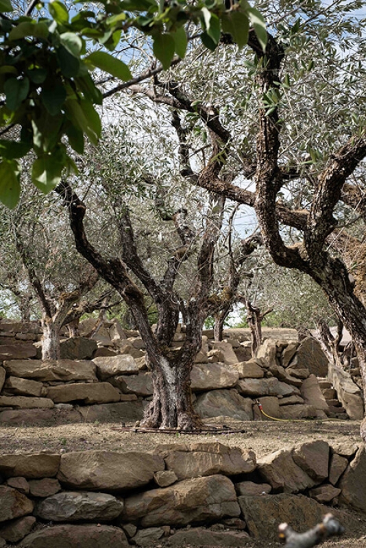 Twl june 2023 horizontal 13