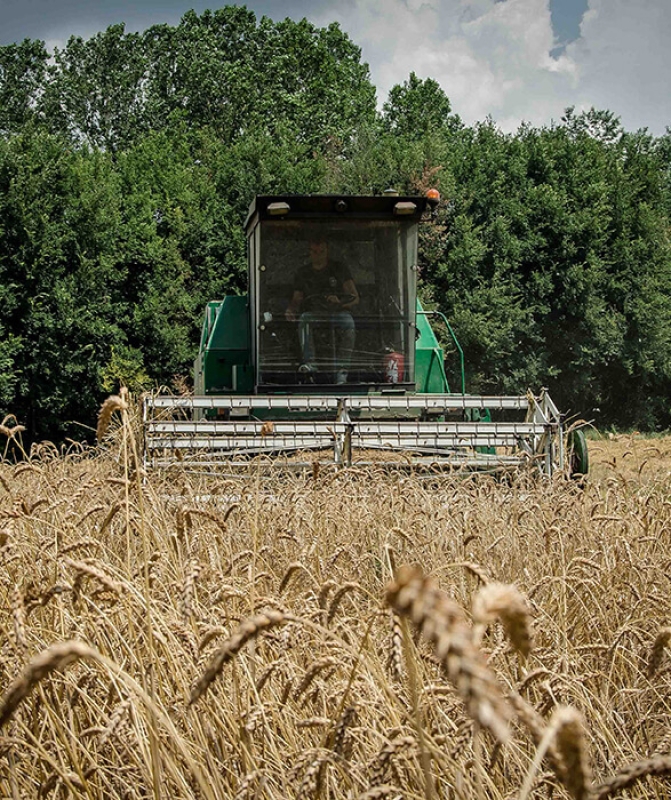 Twl june 2023 horizontal 17