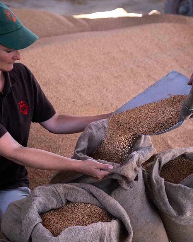 Twl june 2023 horizontal 18