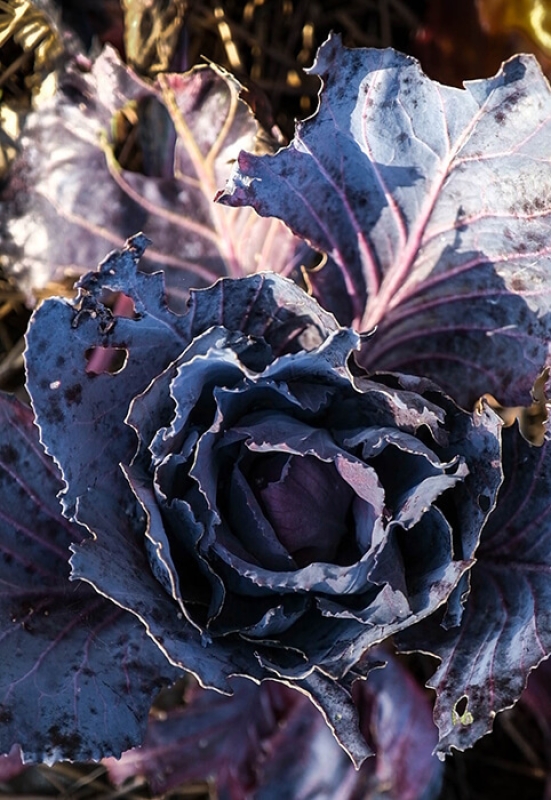 Twl june 2023 horizontal 4