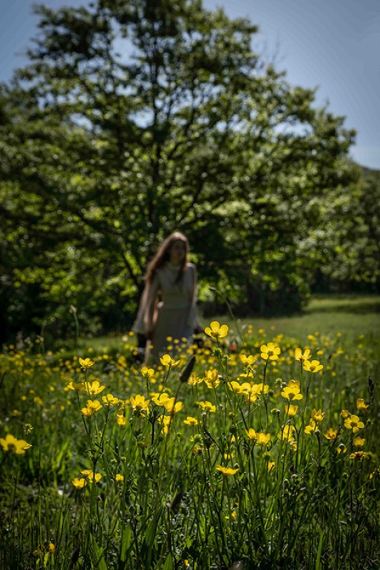 Twl may 2023 horizontal 2