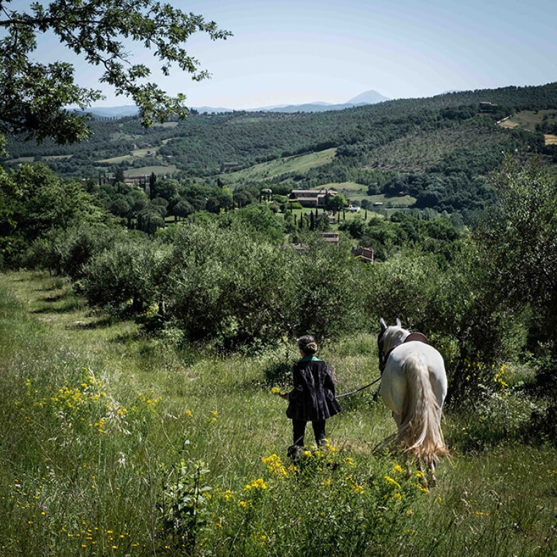 Twl may 2023 horizontal 4