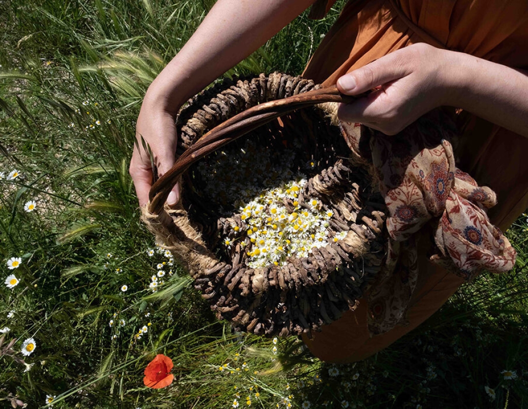 Twl may 2023 horizontal 6