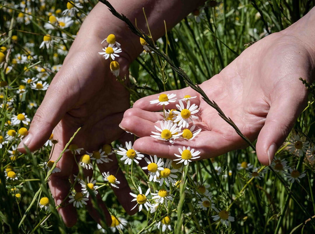 Twl may 2023 horizontal 8