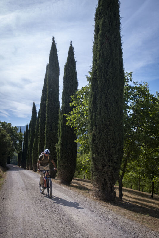 01 mountain biking gallery