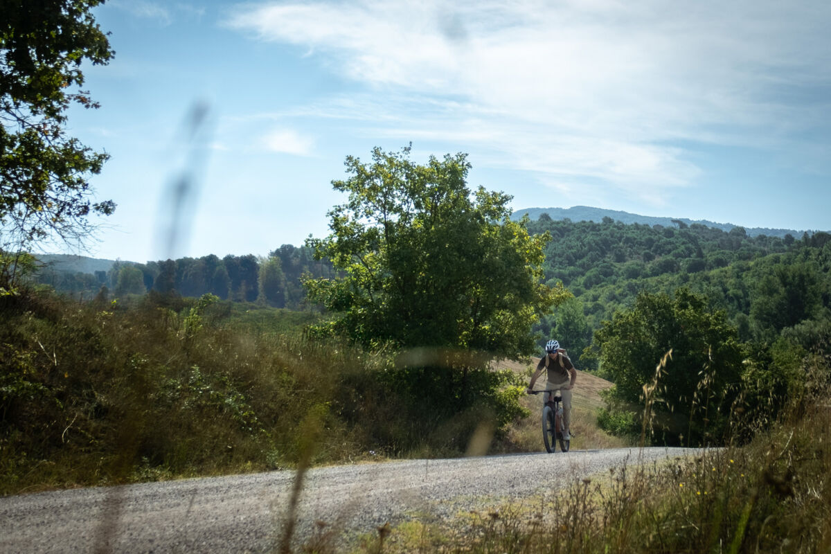 02 mountain biking gallery