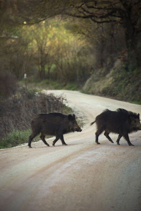 02 wilde side gallery