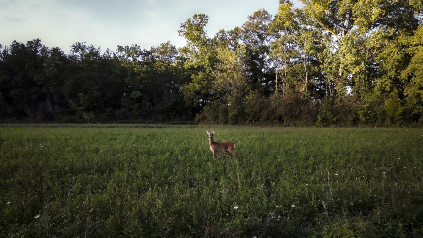 03 wilde side gallery
