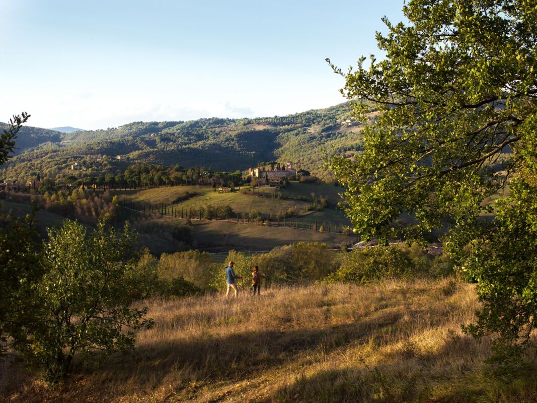 05 wilde side gallery