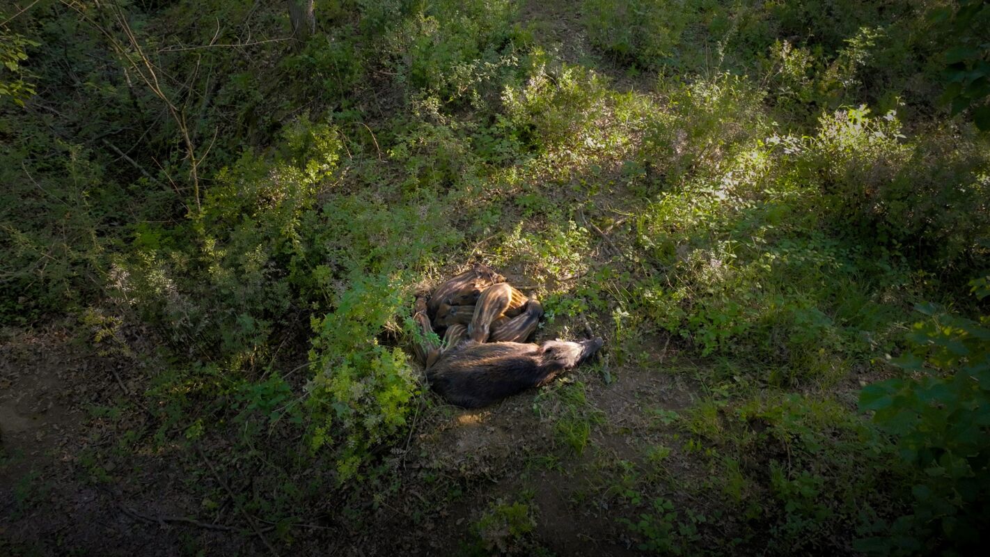 09 wilde side gallery