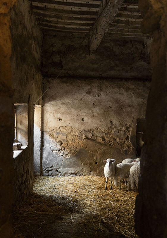 2 2025 05 05 093346 vpyl