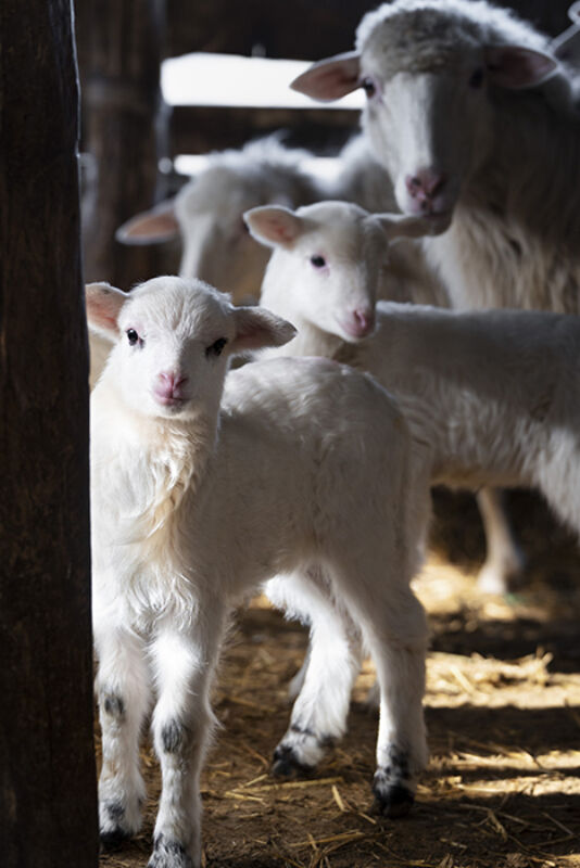 3 2025 05 05 093358 rmoh