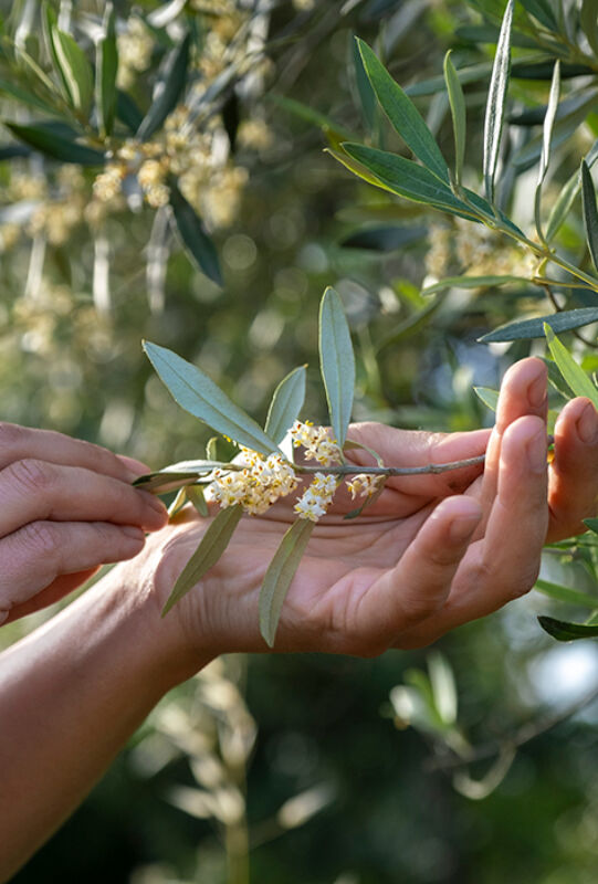 4 2024 11 27 092909 fxwa