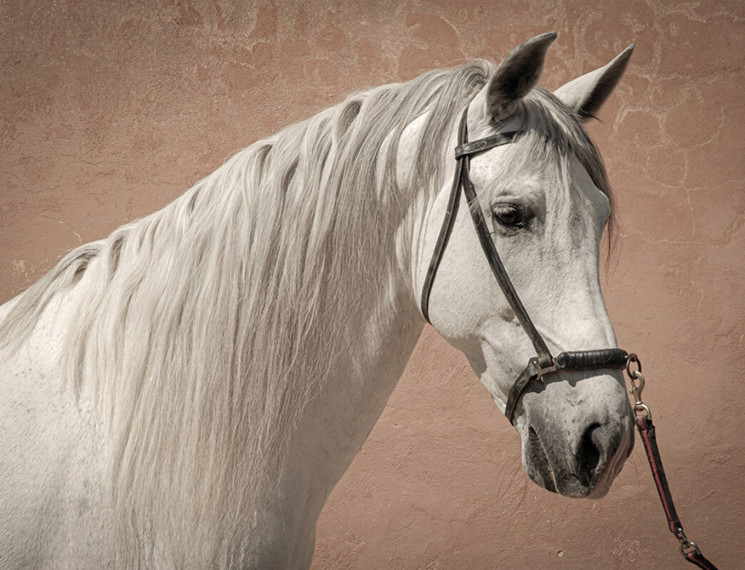 4 2025 05 22 150403 qhmn