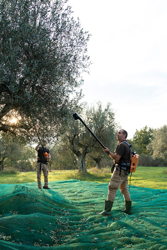 5 2024 11 27 092914 zjai