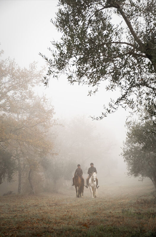 5 2025 09 17 160319 ibbl