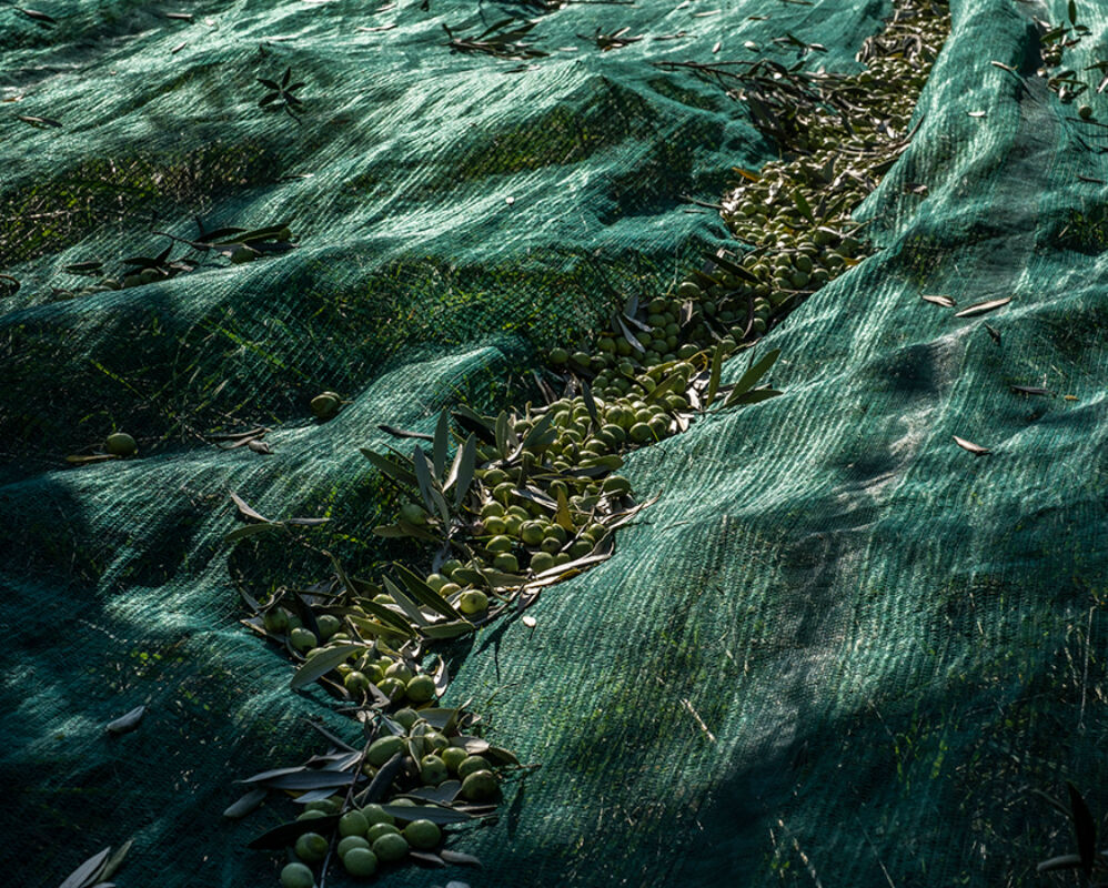 6 2024 11 27 092919 wtry