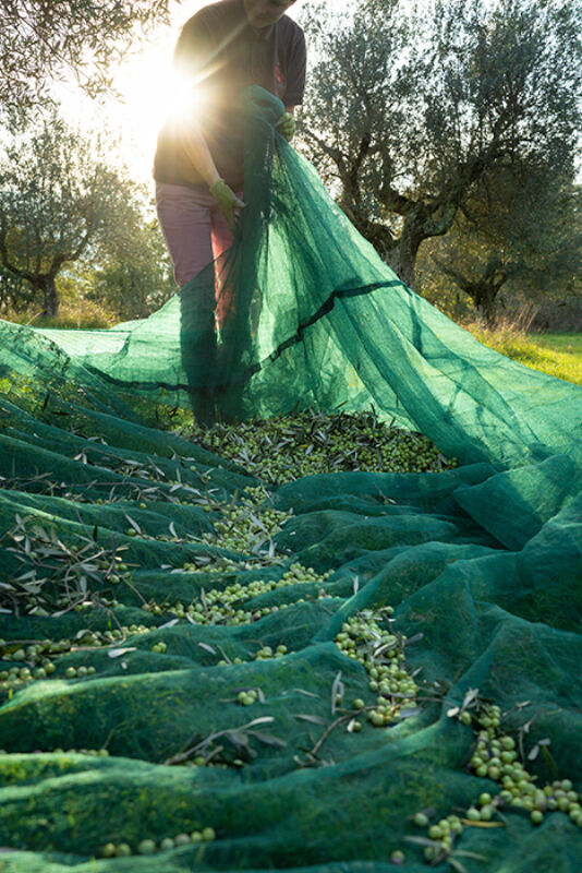 7 2024 11 27 092924 mczm