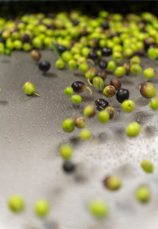 8 2024 11 27 092929 khml