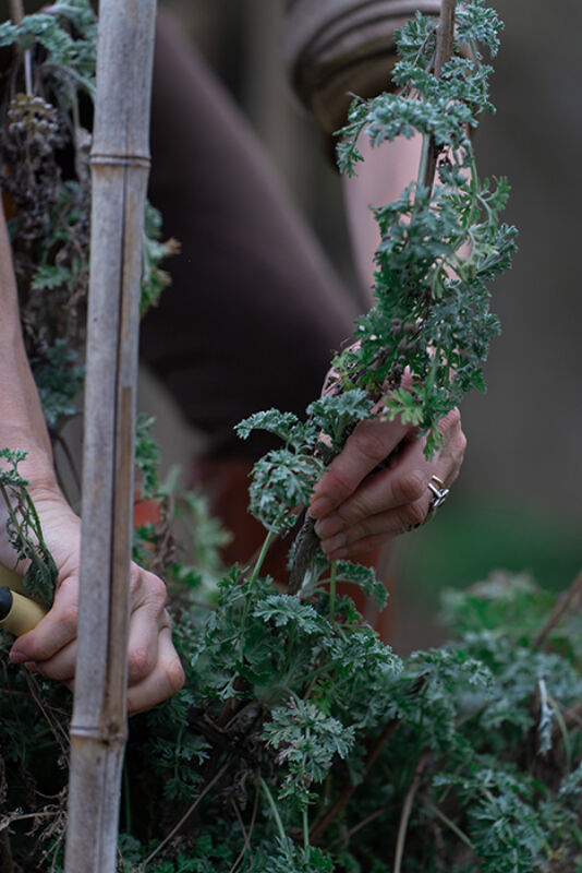 8 2025 03 03 143148 khsl