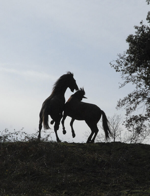 9 2025 05 22 150428 airi