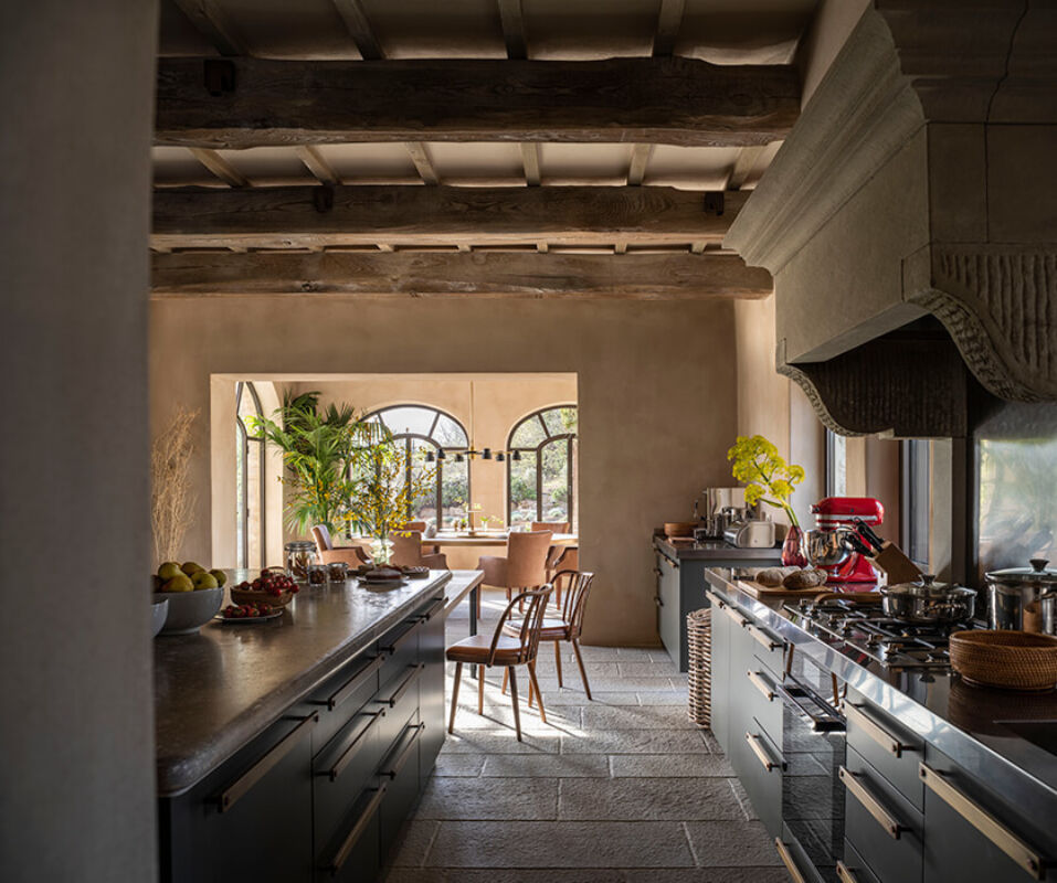 Cercoschene horizontal new 4