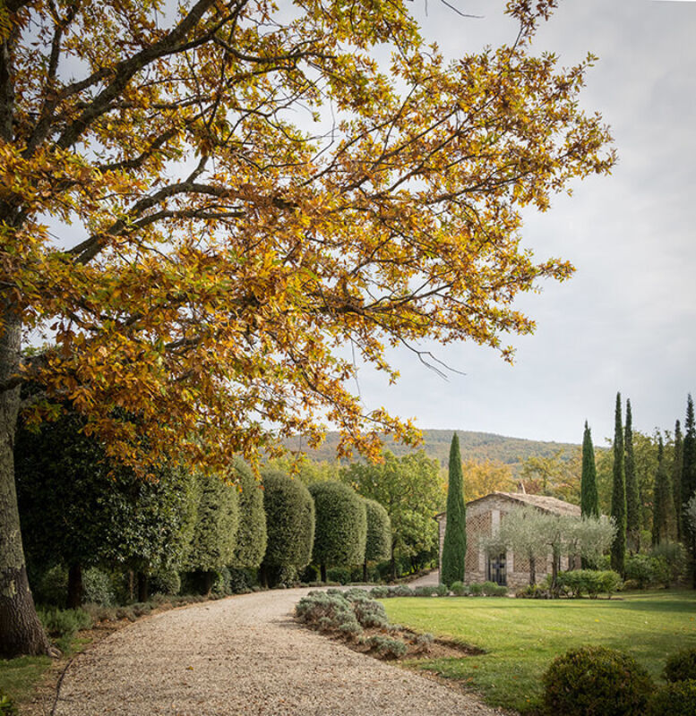 Decmber 2021 horizontal 10 a