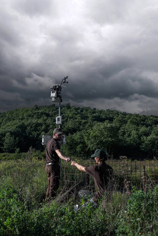 February horizontal 1