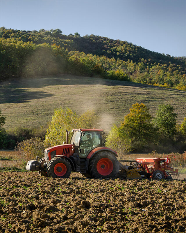 Horizontal september 2021 1