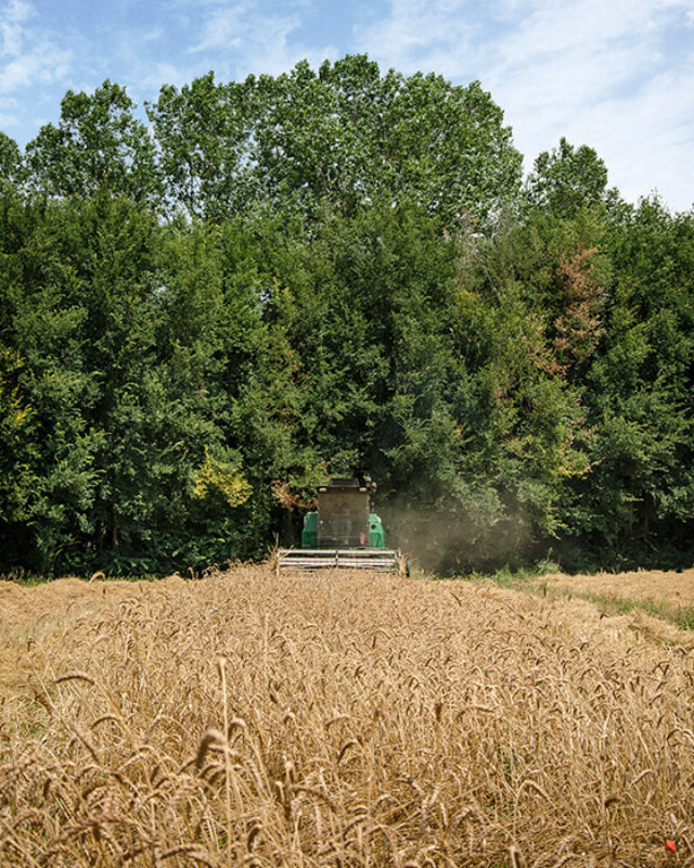 Horizontal september 2021 2