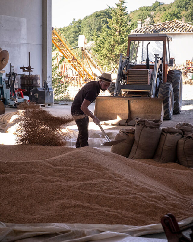 Horizontal september 2021 5