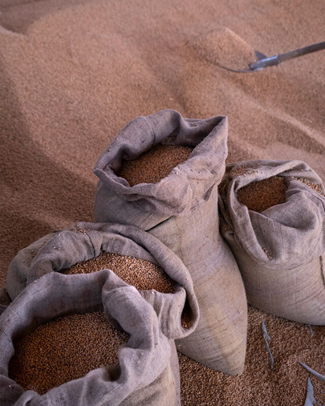 Horizontal september 2021 8