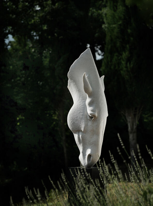 July 2022 horizontal 05