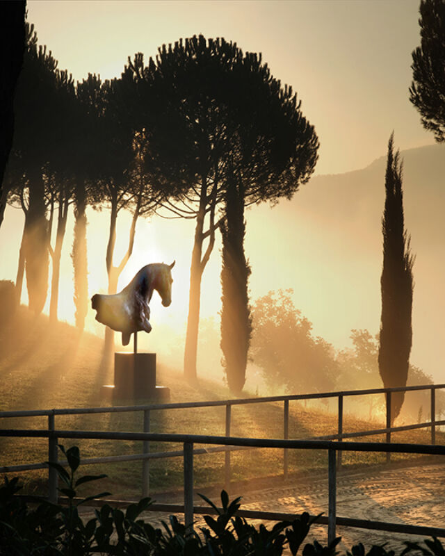 July 2022 horizontal 13