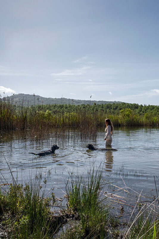 June 2021 horizontal 5