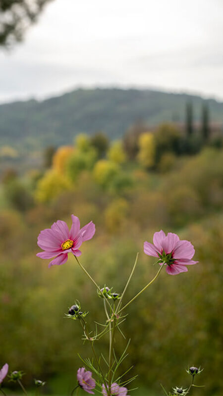 May 2022 horizontal 6