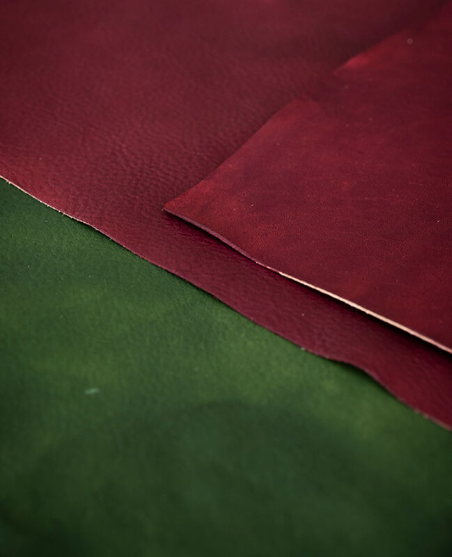 November 2022 horizontal 5