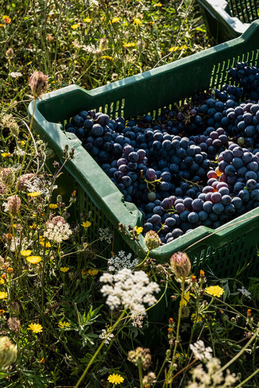 October 2020 gallery 2