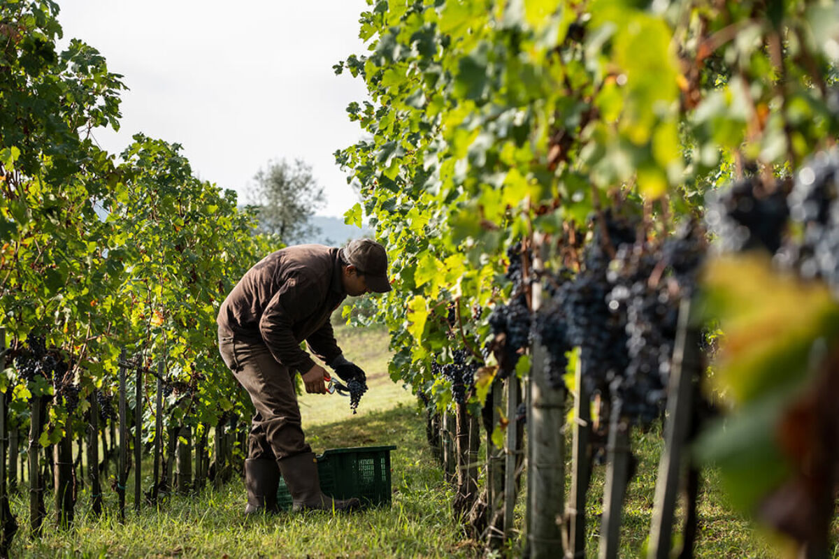 October 2020 gallery 3