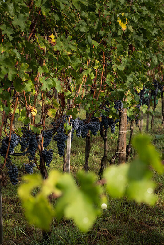 October 2020 gallery 4