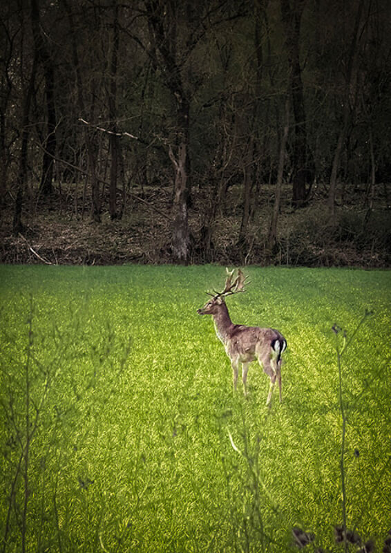 October 2022 horizontal 3